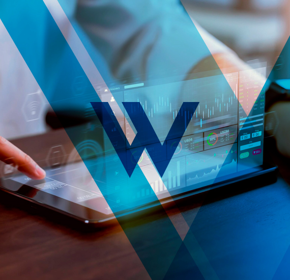 wise path servicios especializados